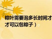 粽叶需要泡多长时间才可以包粽子吃（粽叶需要泡多长时间才可以包粽子）