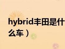 hybrid丰田是什么车商务（hybrid丰田是什么车）