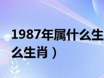 1987年属什么生肖的最佳配偶（1987年属什么生肖）