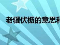 老骥伏枥的意思和拼音（老骥伏枥的意思）