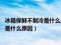 冰箱保鲜不制冷是什么原因 解决办法视频（冰箱保鲜不制冷是什么原因）