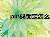 pin码锁定怎么办（pin码被锁怎么办）