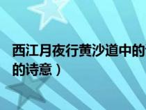 西江月夜行黄沙道中的诗意简短20字（西江月夜行黄沙道中的诗意）