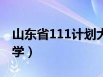 山东省111计划大学（山东有几个111计划大学）