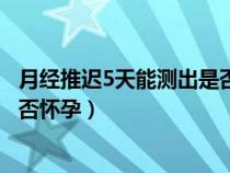 月经推迟5天能测出是否怀孕吗准吗（月经推迟5天能测出是否怀孕）