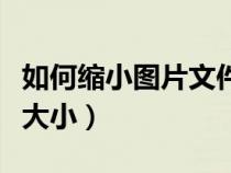 如何缩小图片文件的大小（怎样缩小图片文件大小）