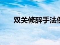 双关修辞手法例句100个（双关修辞）