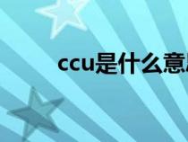 ccu是什么意思（ICU是什么意思）