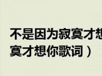 不是因为寂寞才想你歌词的含义（不是因为寂寞才想你歌词）