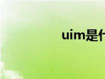 uim是什么牌子（uim）