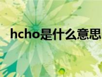 hcho是什么意思中文（hcho是什么意思）