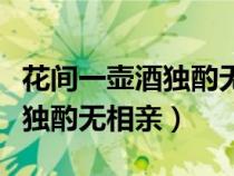 花间一壶酒独酌无相亲打一字谜（花间一壶酒独酌无相亲）