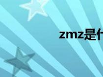 zmz是什么意思（zmz）