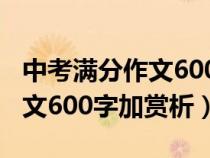 中考满分作文600字加赏析旁批（中考满分作文600字加赏析）