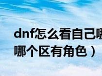 dnf怎么看自己哪个区有角色（dnf怎么查询哪个区有角色）