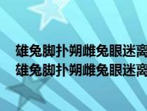 雄兔脚扑朔雌兔眼迷离双兔傍地走安能辨我是雄雌的意思（雄兔脚扑朔雌兔眼迷离双兔傍地走安能辨我是雄雌）