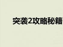 突袭2攻略秘籍（突袭2中文版的秘籍）