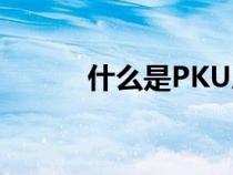 什么是PKU患儿（什么是PKU）