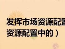 发挥市场资源配置中的决定性作用（发挥市场资源配置中的）