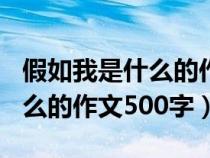 假如我是什么的作文500字高中（假如我是什么的作文500字）