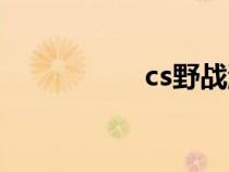 cs野战游戏（cs野战）