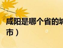 咸阳是哪个省的城市在哪（咸阳是哪个省的城市）