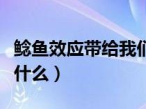 鲶鱼效应带给我们的启示（鲶鱼效应的启示是什么）