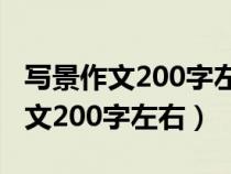 写景作文200字左右卷地风来忽吹散（写景作文200字左右）