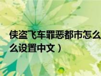 侠盗飞车罪恶都市怎么设置中文模式（侠盗飞车罪恶都市怎么设置中文）