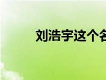 刘浩宇这个名字怎么样（刘浩宇）