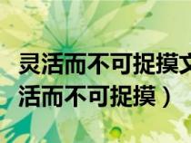 灵活而不可捉摸文中指透明的不可捉摸的（灵活而不可捉摸）