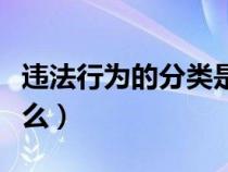 违法行为的分类是什么（违法行为的种类是什么）