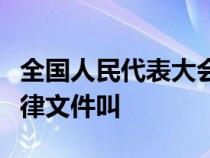 全国人民代表大会及其常委会制定的规范性法律文件叫