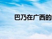 巴乃在广西的那里（巴乃在广西的）