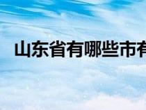 山东省有哪些市有机场（山东省有哪些市）