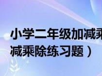 小学二年级加减乘除题目（小学二年级数学加减乘除练习题）