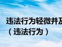 违法行为轻微并及时改正没有造成危害后果的（违法行为）