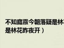 不知庭霰今朝落疑是林花昨夜开 怎么读（不知庭霰今朝落疑是林花昨夜开）