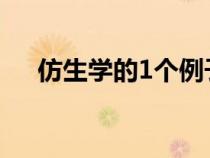 仿生学的1个例子（仿生学的十个例子）