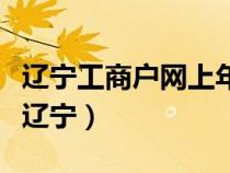 辽宁工商户网上年检（工商年检网上公示系统辽宁）