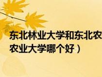 东北林业大学和东北农业大学的区别（东北林业大学和东北农业大学哪个好）