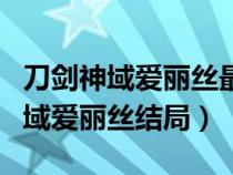 刀剑神域爱丽丝最后去了现实世界吗（刀剑神域爱丽丝结局）