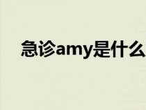 急诊amy是什么意思（amy是什么意思）