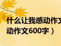 什么让我感动作文600字记叙文（什么让我感动作文600字）