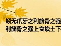 蚓无爪牙之利筋骨之强上食埃土下饮黄泉翻译（蚓无爪牙之利筋骨之强上食埃土下饮黄泉）