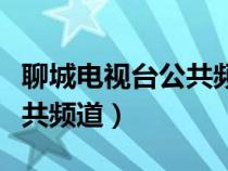 聊城电视台公共频道在线直播（聊城电视台公共频道）