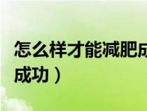 怎么样才能减肥成功又不反弹（怎么才能减肥成功）