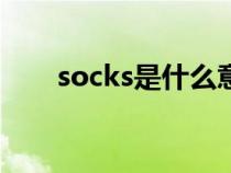 socks是什么意思（soc是什么意思）