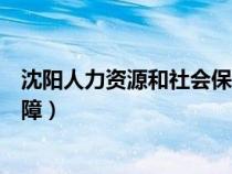 沈阳人力资源和社会保障服务平台（沈阳人力资源和社会保障）