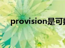 provision是可数名词吗（provisions）